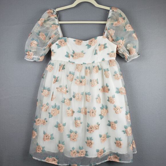 Altar'd State Size XS Floral Chiffon Puff Sleeve Mini Dress Pink Rosette Fairy - Picture 1 of 10